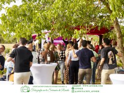 Festival Mar de Tethys 2026 - Bodega Vetas